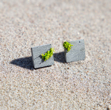 Load image into Gallery viewer, MOSS EARRINGS
